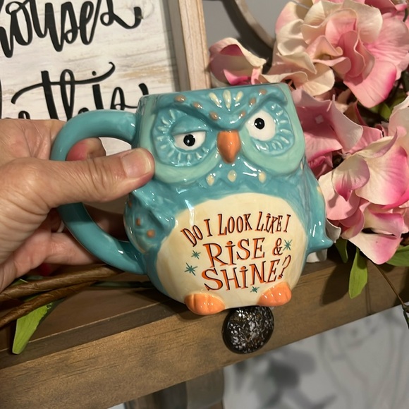 Cracker Barrel Stoneware Coffee Cup Owl Rise Shine Mug - Picture 2 of 10